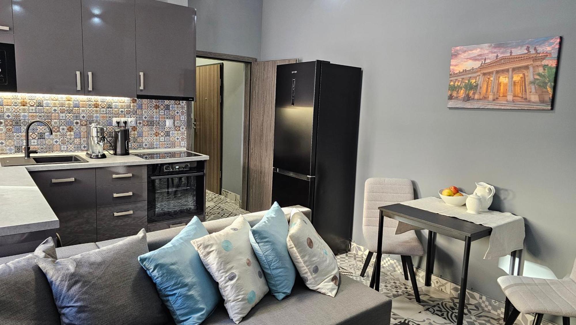 Apartment Silver 313 Karlovy Vary Dış mekan fotoğraf