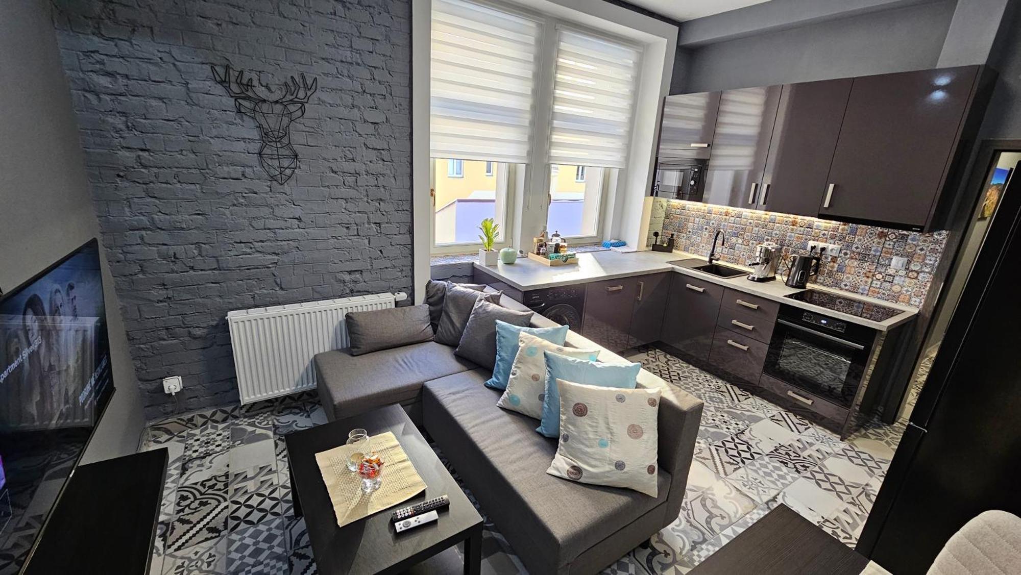 Apartment Silver 313 Karlovy Vary Dış mekan fotoğraf